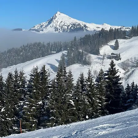 Apartment Gernot Kirchberg in Tirol