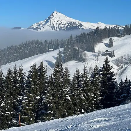 Appartement Gernot Kirchberg in Tirol