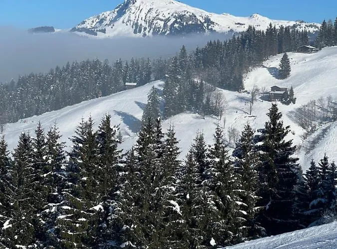 Apartment Gernot Kirchberg in Tirol